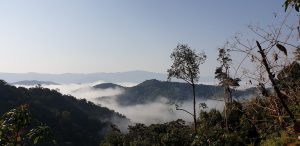 Morning fog covering tropical rainforest at Nam Ha National Protected Area. © Nam Ha National Protected Area.